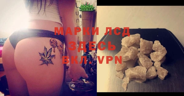 шишки Богданович