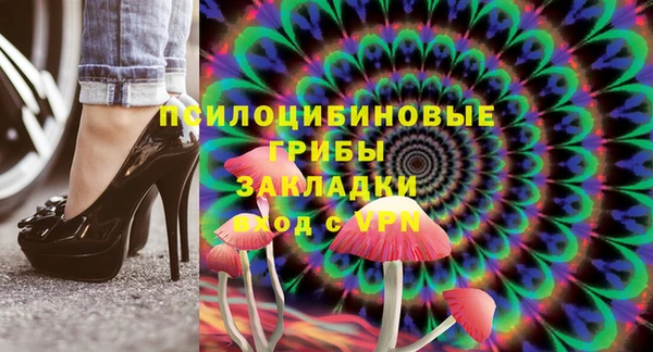spice Богородск