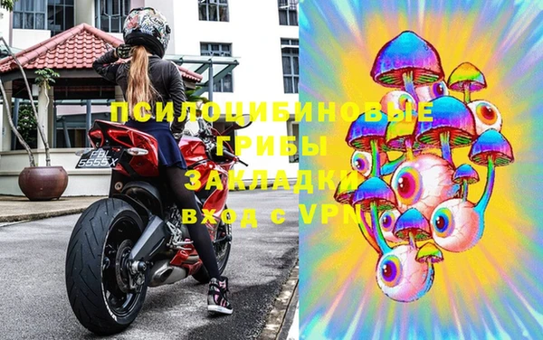 spice Богородск