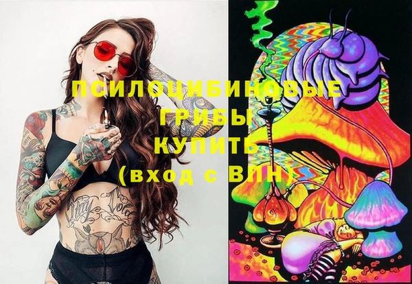 шишки Богданович
