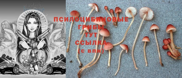 mdpv Балахна